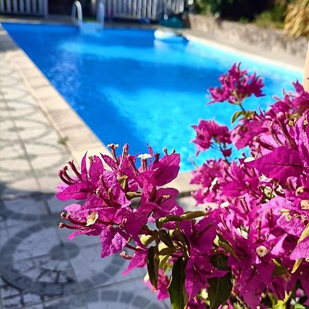 Bed and Breakfast Les Bichettes Mortagne-sur-Sevre Экстерьер фото