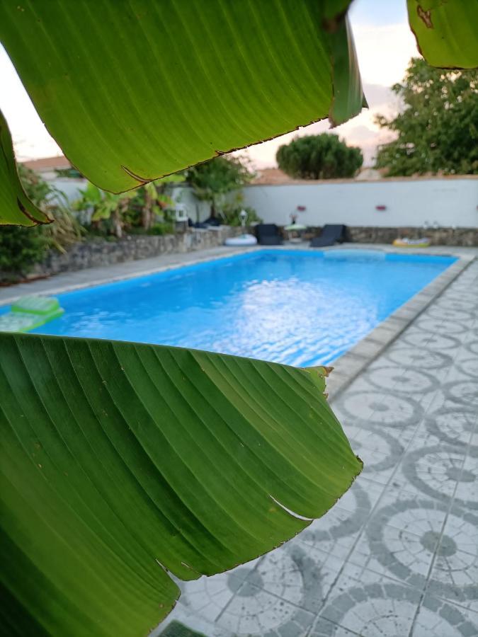 Bed and Breakfast Les Bichettes Mortagne-sur-Sevre Экстерьер фото