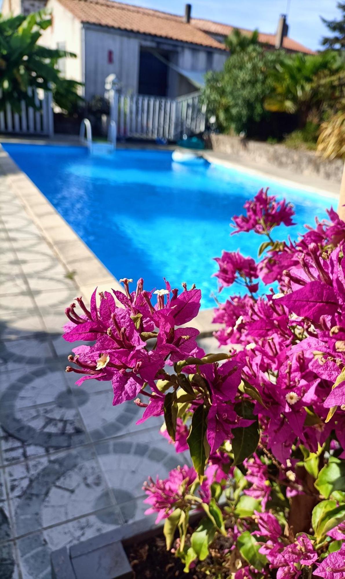Bed and Breakfast Les Bichettes Mortagne-sur-Sevre Экстерьер фото